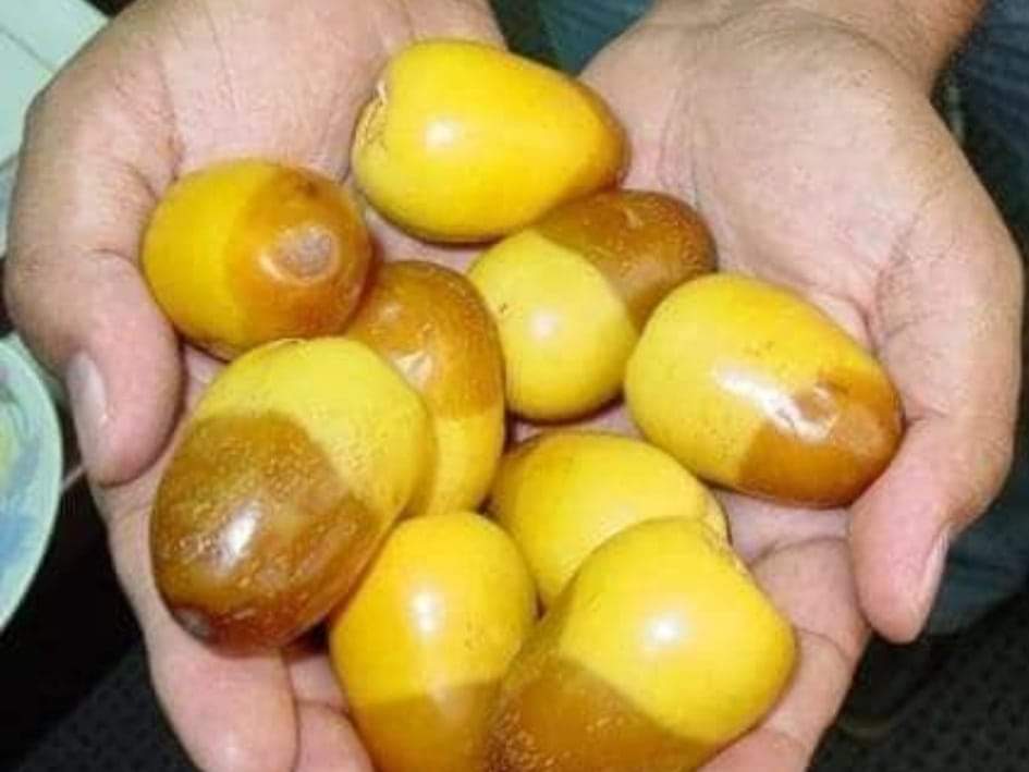 أصداء كلام في وجه الصباح وعلى الهواء الطلق.. التوقيع:لايزال صوتك الفرح